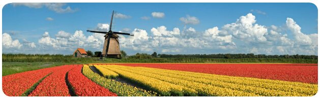 Vuelos baratos a Holanda